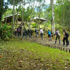 educacao ambiental - ong maranata ecologia
