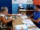 ong maranata ecologia parceria escola